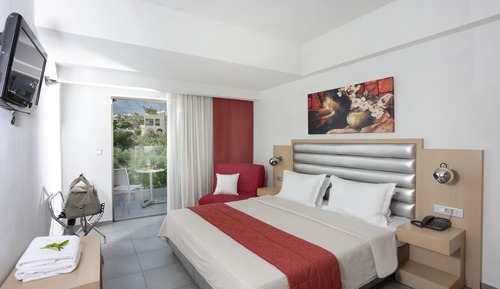 Habitación estándar con 1 cama doble o 2 individuales