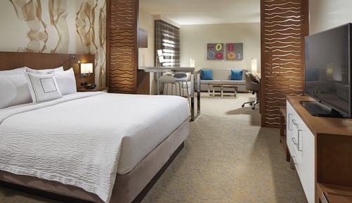 Junior Suite, 1 King Bed with Sofa bed, Non Smoking (Hearing Accessible)