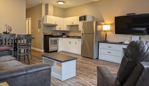 Suite, cocina (Pet Friendly)
