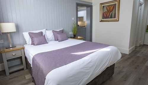 Estudio estándar, 1 cama de matrimonio grande, no fumadores, cocina básica (Walk-in Shower)