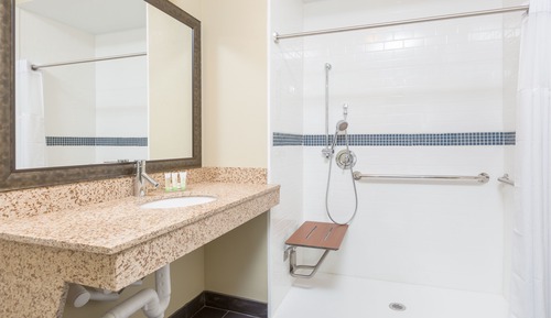 Suite estudio, 1 cama de matrimonio, cocina (Mobility, Roll-In Shower)