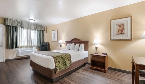 Habitación estándar, 1 cama de matrimonio, no fumadores, microondas