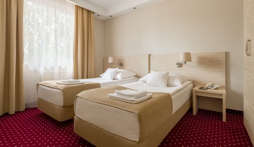 Habitación Business con 1 cama doble o 2 individuales