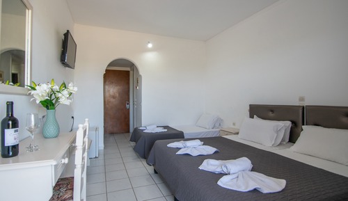 Double or Twin Room with Garden View