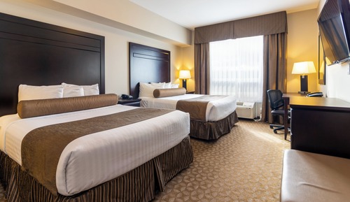 Suite estudio superior