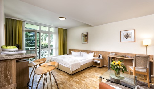 Double Room Single Use