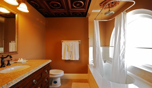 Suite ejecutiva, 1 habitación