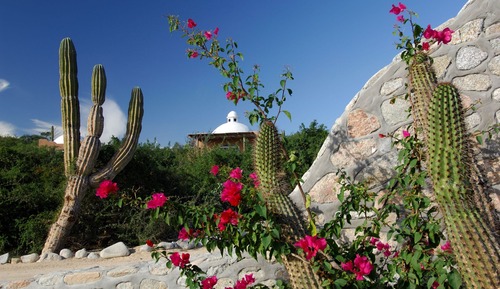 Cabaña estándar, 1 cama de matrimonio, vistas al mar, junto a la playa