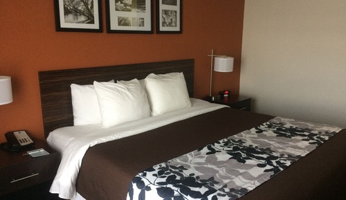 Habitación, 1 cama de matrimonio grande, accesible para personas con discapacidad, no fumadores