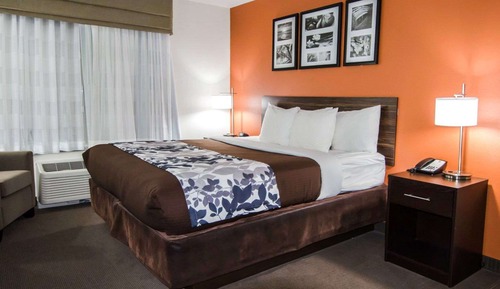 Suite, 1 cama de matrimonio grande, no fumadores