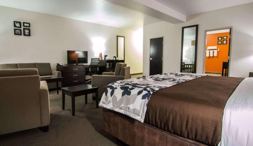 Suite, 1 cama de matrimonio grande con sofá cama, no fumadores (Efficiency)