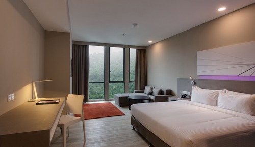 Habitación Deluxe, 1 cama de matrimonio grande
