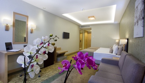 Habitación ejecutiva