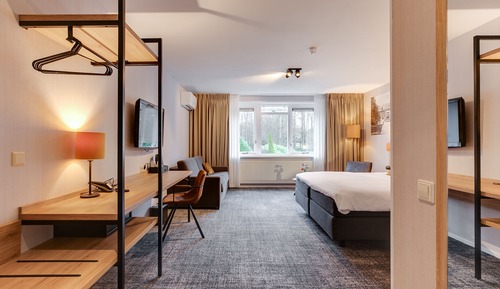 Habitación doble, 1 cama de matrimonio grande con sofá cama (4 Persons)