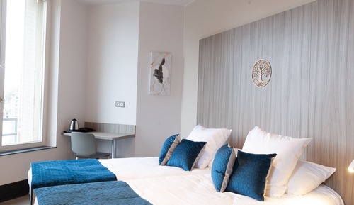 Habitación Deluxe con 2 camas individuales