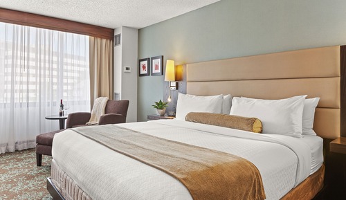 Habitación ejecutiva, 1 cama de matrimonio grande