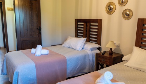 Habitación clásica con 2 camas individuales