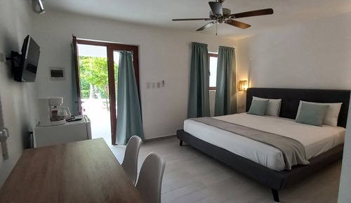 Suite estudio junior, 1 cama de matrimonio grande