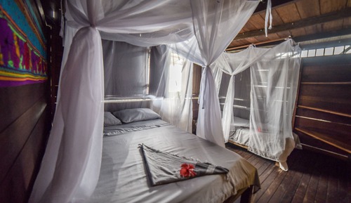 Habitación estándar, varias camas