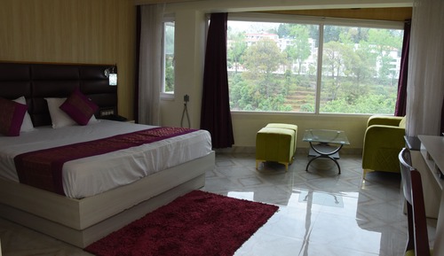 Suite estudio