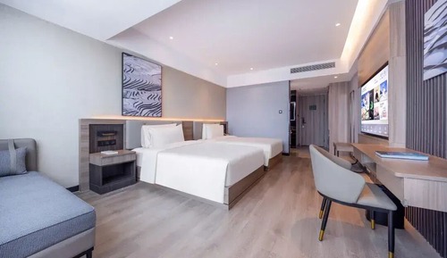 Habitación Elite