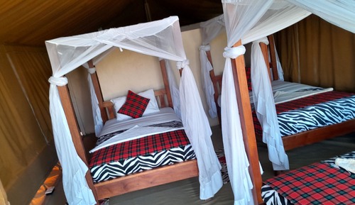 Habitación triple básica