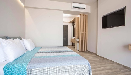 Habitación estándar con 1 cama doble o 2 individuales, vistas al jardín