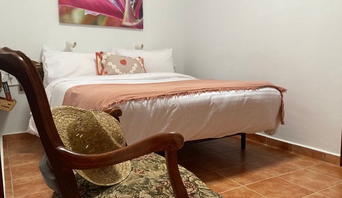 Habitación junior doble, 1 cama doble