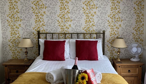 Habitación estándar, 1 cama doble