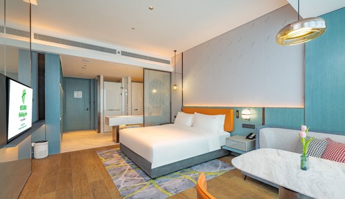 Habitación estándar, 1 cama de matrimonio grande, vistas a la ciudad