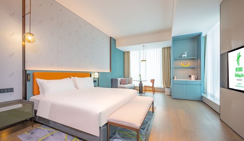 Habitación Premium, 1 cama de matrimonio grande