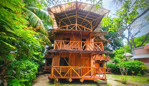 Casa en un árbol tradicional