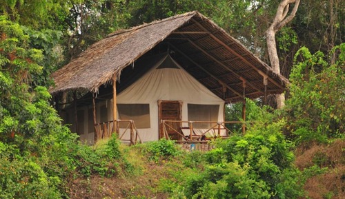 Tienda estándar