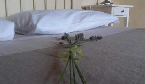 Habitación básica doble