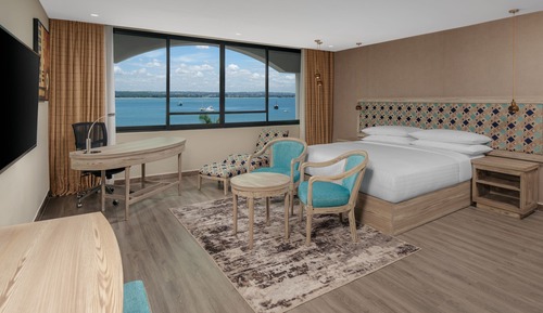 Suite Premium, 1 cama de matrimonio grande, no fumadores, vistas a la ciudad