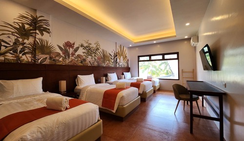 Habitación Deluxe con 1 cama doble o 2 individuales