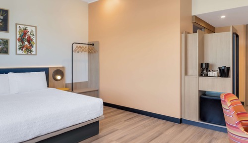 King Accessible Room W/roll-in Shower