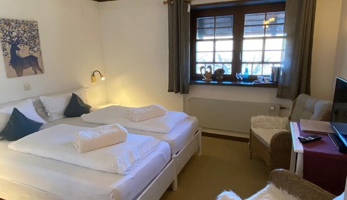 Habitación básica doble