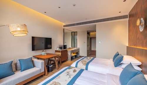 Habitación Deluxe con 2 camas individuales