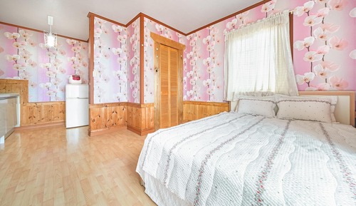 Habitación básica, 1 habitación (daisy)