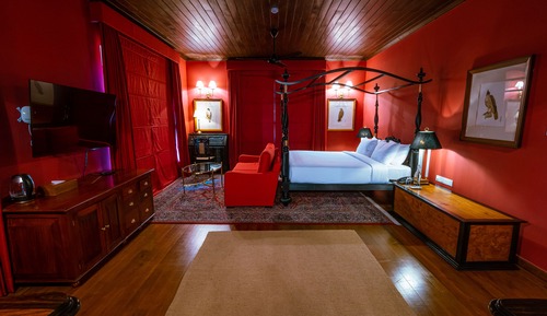 Suite de lujo