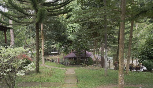 Habitación económica, no fumadores, vistas al jardín
