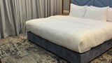 Comfort Suite