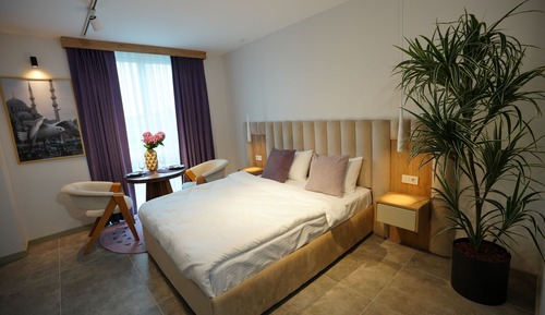 Suite Estudio Business