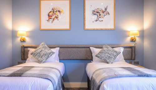 Habitación doble superior, 1 cama de matrimonio grande, balcón, vistas al jardín