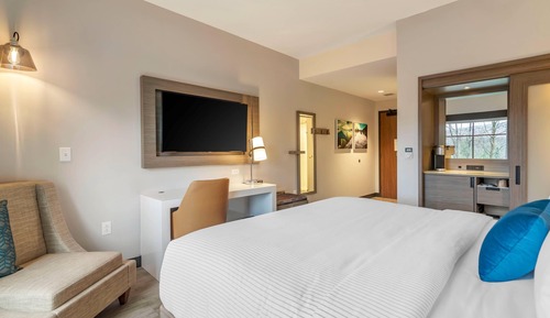 Habitación estándar, 1 cama de matrimonio grande, no fumadores