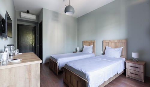 Basic Twin Room