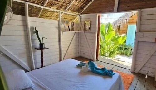 Basic Cabin