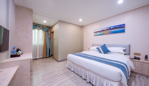 Habitación Premier