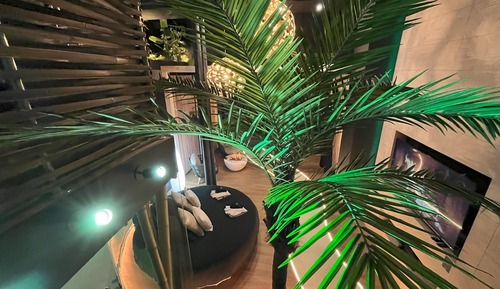 Suite de lujo